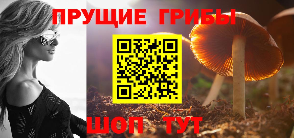 Псилоцибиновые грибы мухоморы Энгельс