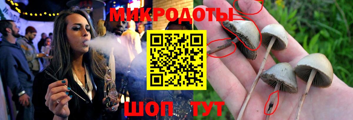 Энгельс  Псилоцибиновые грибы мухоморы  Вход с VPN  Галлюциногенные грибы прущие грибы 